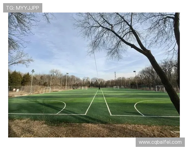 找到最适合你的足球明星让你在球场上闪耀的秘诀与推荐 找到最适合你的足球明星让你在球场上闪耀的秘诀与推荐