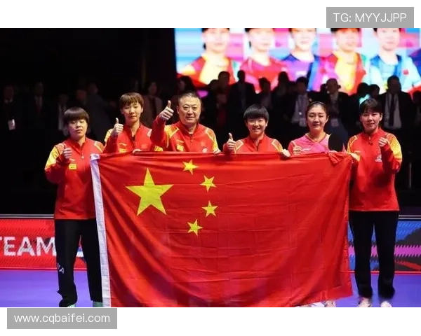 南京乒乓球队逆袭之旅总决赛特别报道展现拼搏精神与团队力量